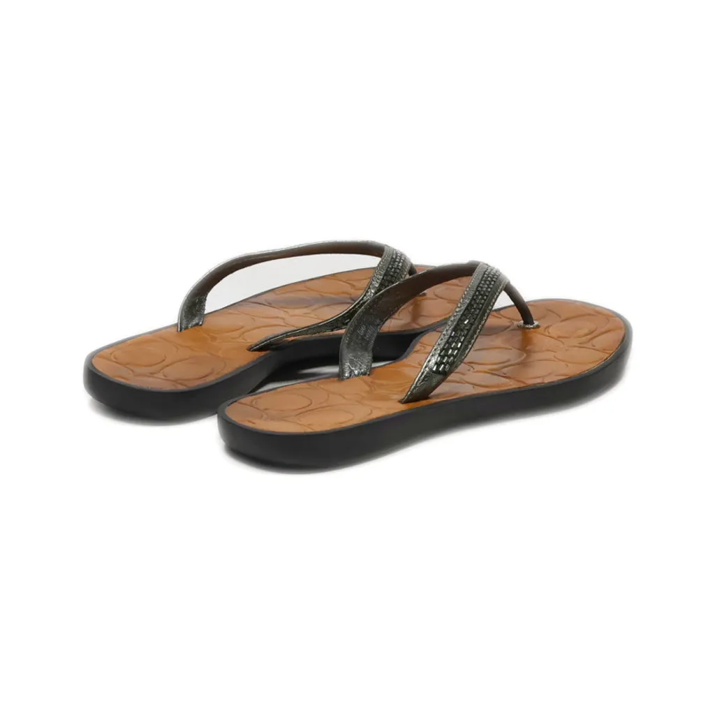Coach Flip Flops Fabric Grey Colour For Women