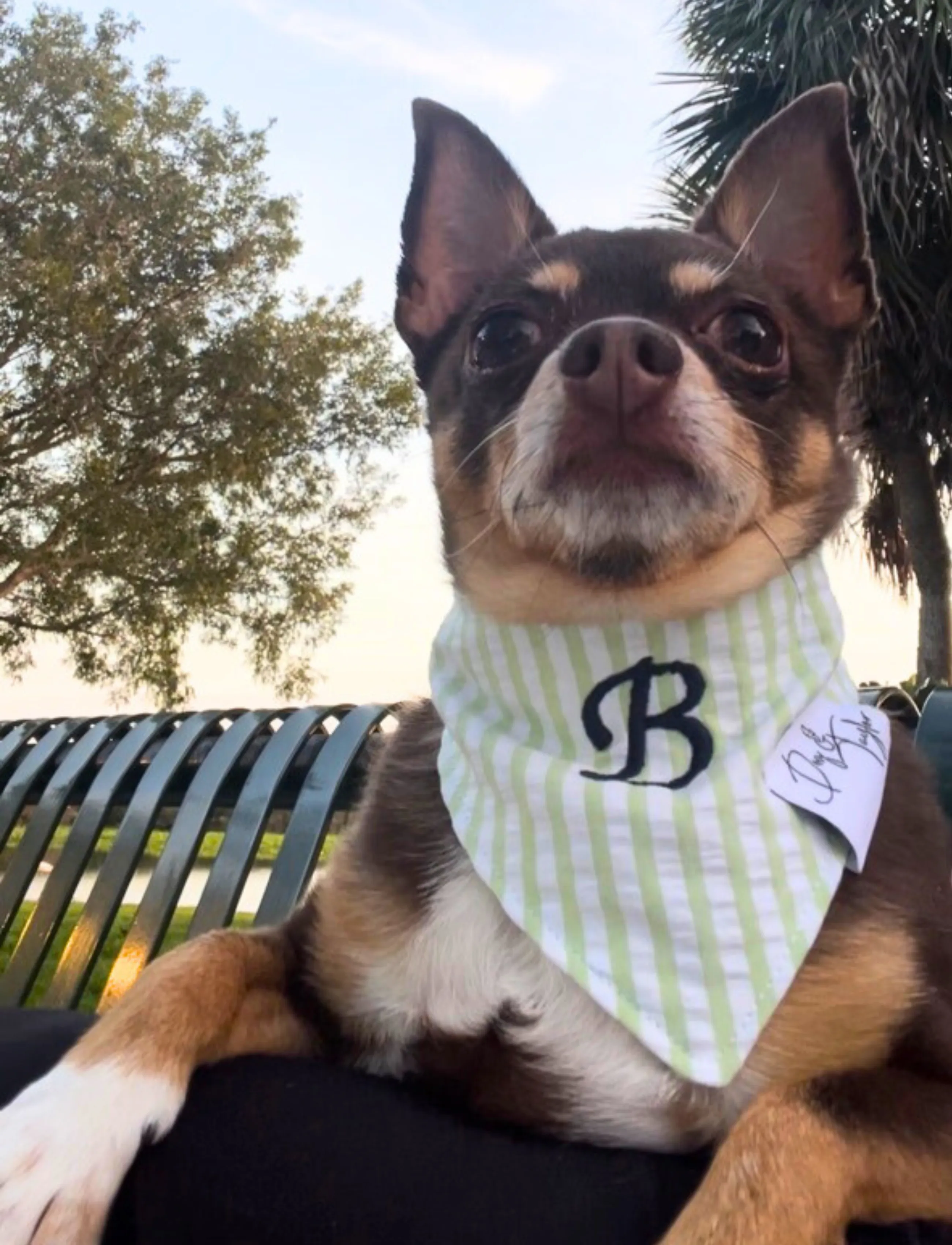 Key Lime Seersucker  Bandana