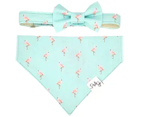 Miami Vibes Collar   Slip-on Bandana   Bow (Set of 3)