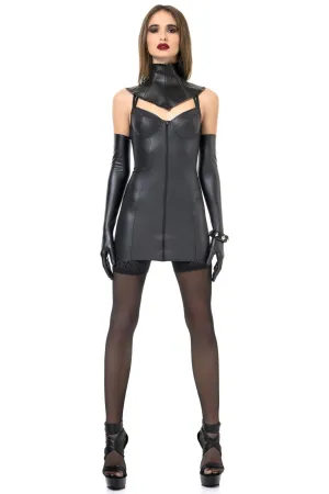 Rosa Collar Dress Set