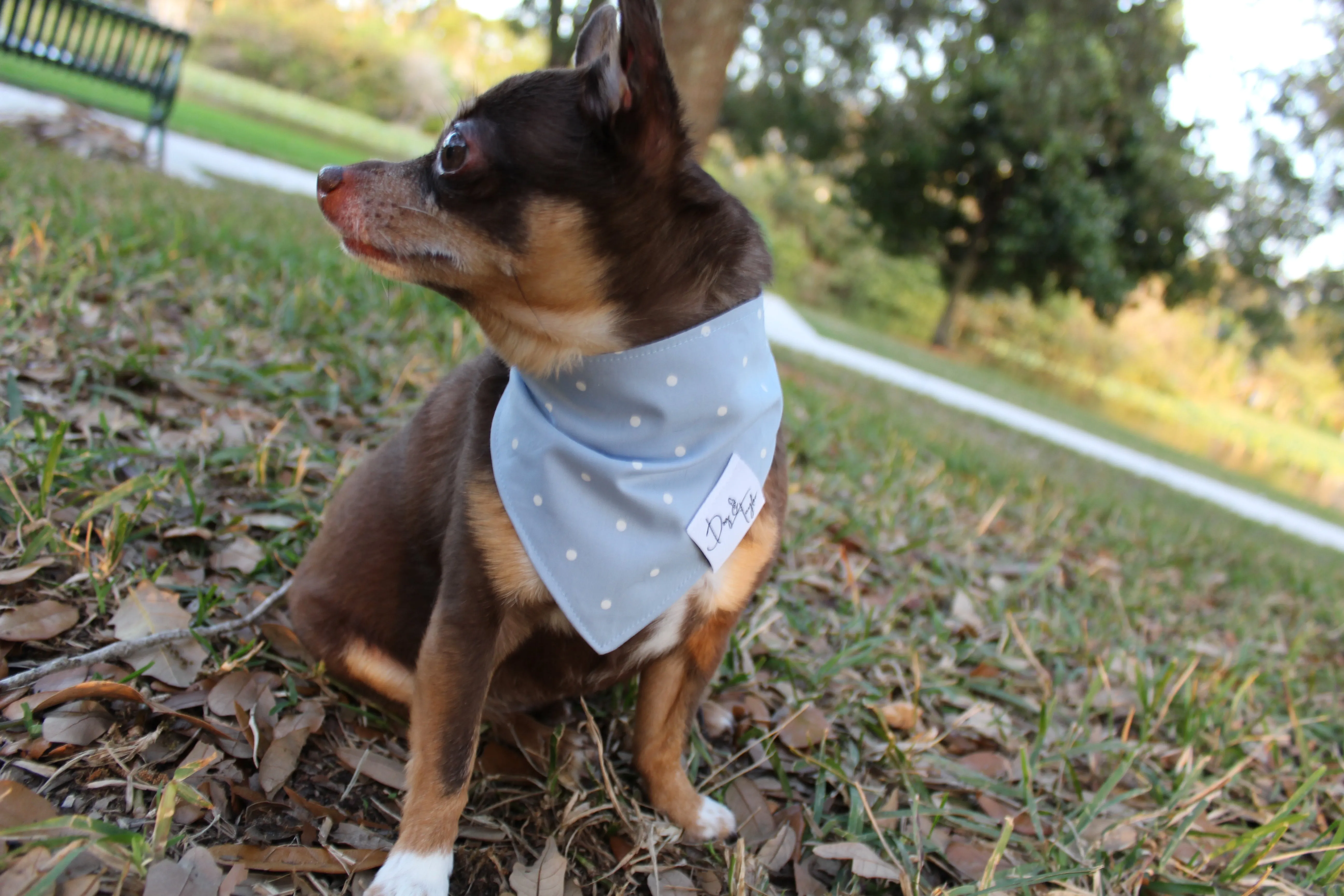 Sky Polka Dots Dog Bandana